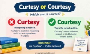 curtesy-or-courtesy