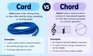 cord-vs-chord