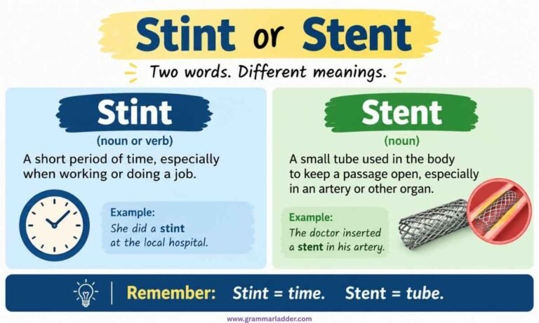stint-or-stent