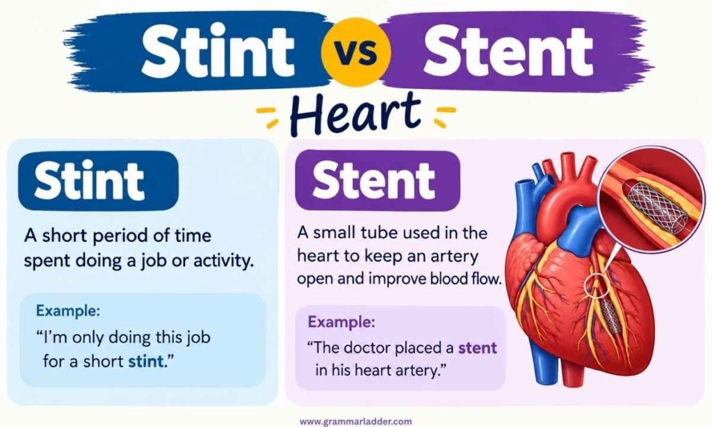 stint-vs-stent-heart